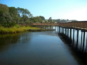 Duck Boardwalk on the Sound