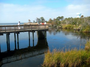 Duck Boardwalk on the Sound